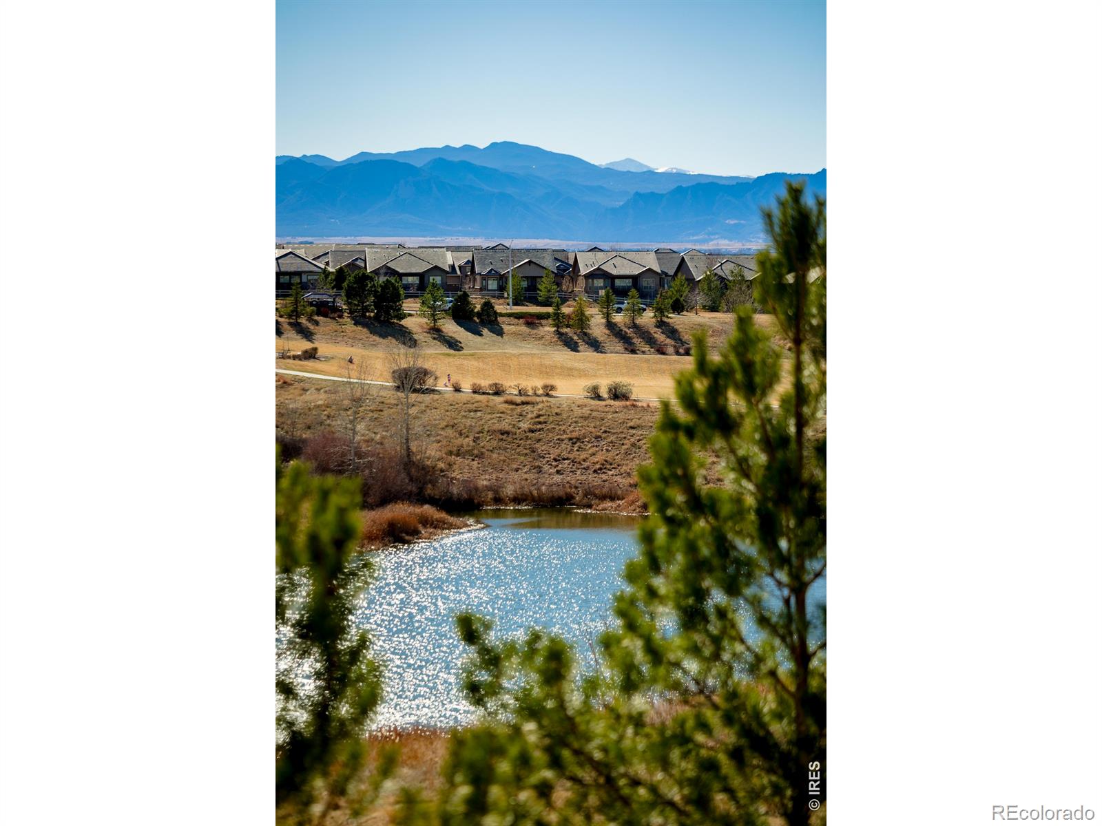 MLS Image #41 for 3446  yale drive,broomfield, Colorado