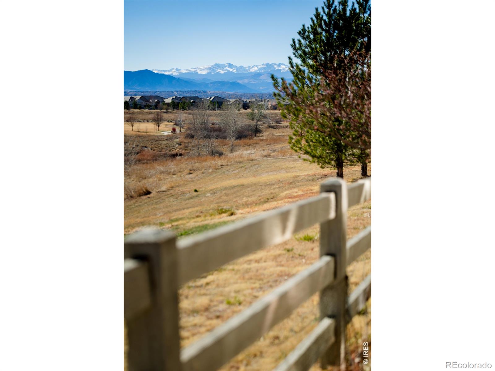 MLS Image #43 for 3446  yale drive,broomfield, Colorado