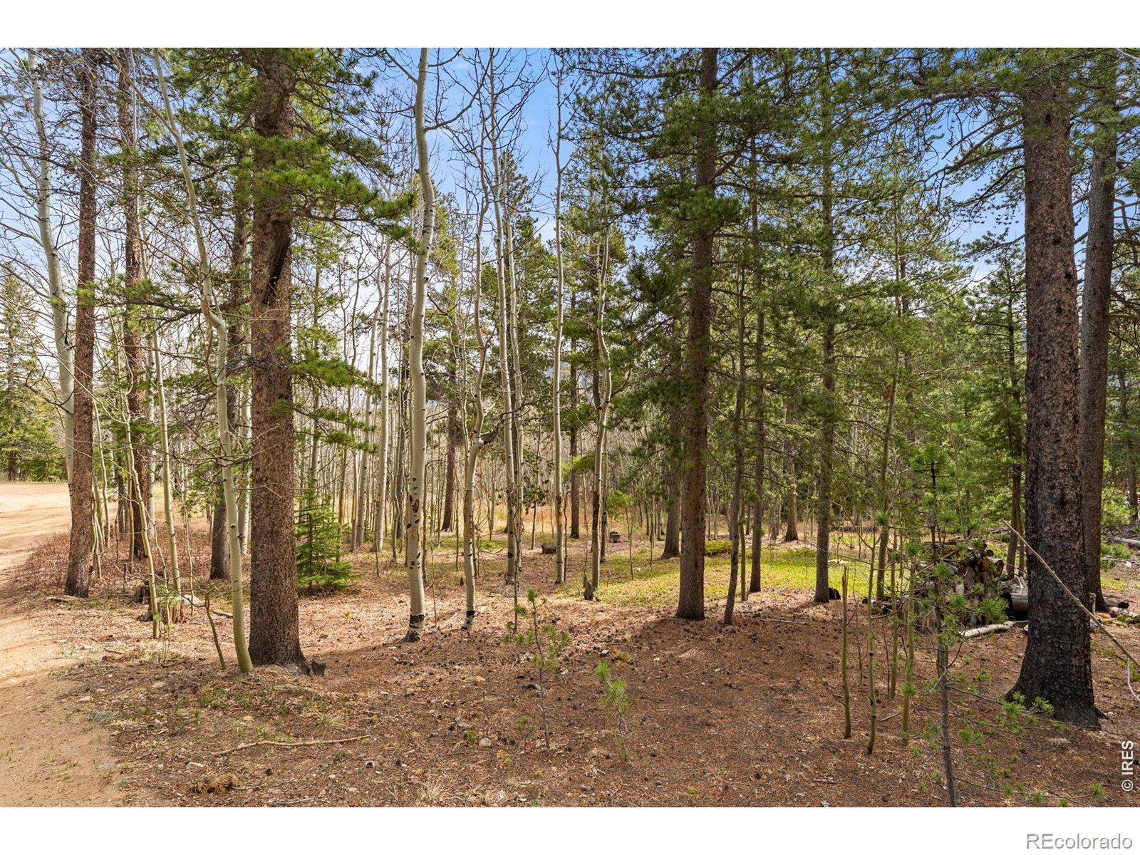 MLS Image #28 for 418  athena road,black hawk, Colorado
