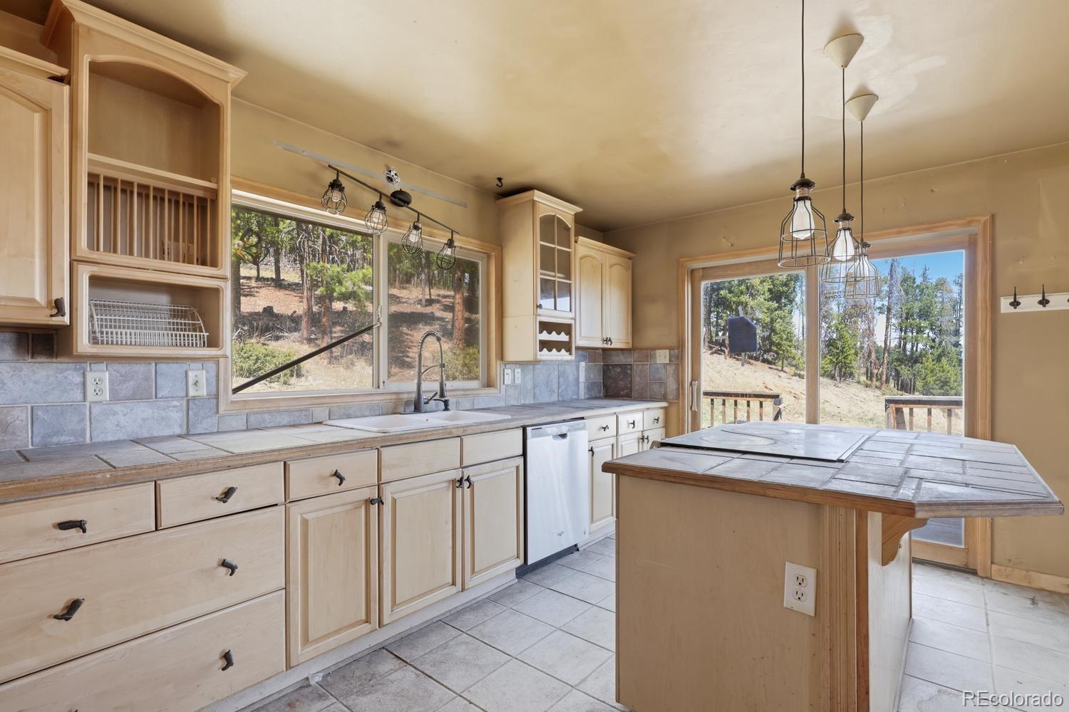 MLS Image #12 for 8367 s warhawk way,conifer, Colorado