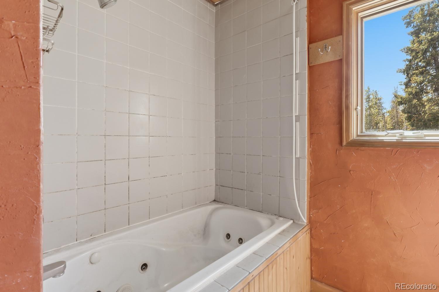 MLS Image #19 for 8367 s warhawk way,conifer, Colorado
