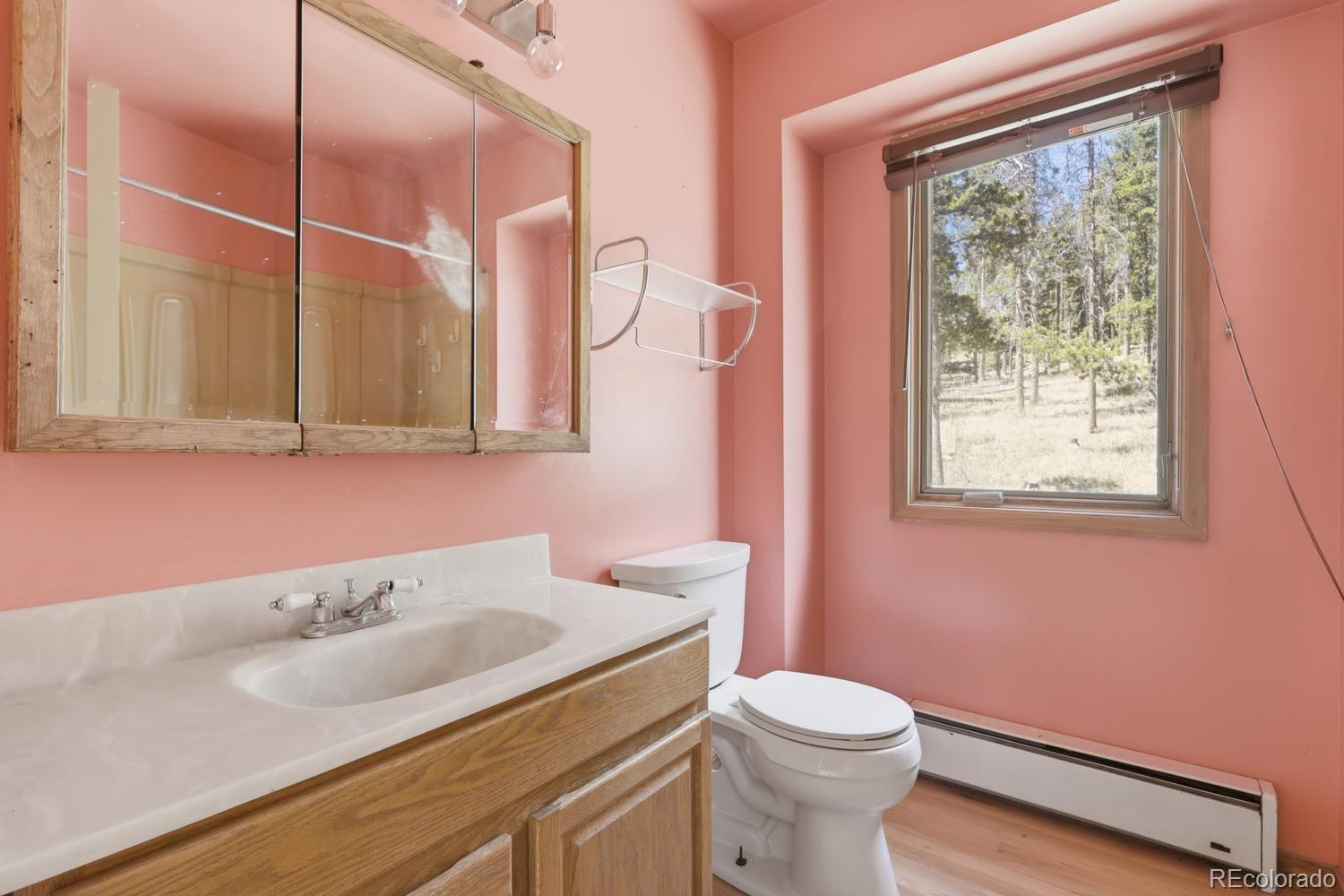 MLS Image #23 for 8367 s warhawk way,conifer, Colorado