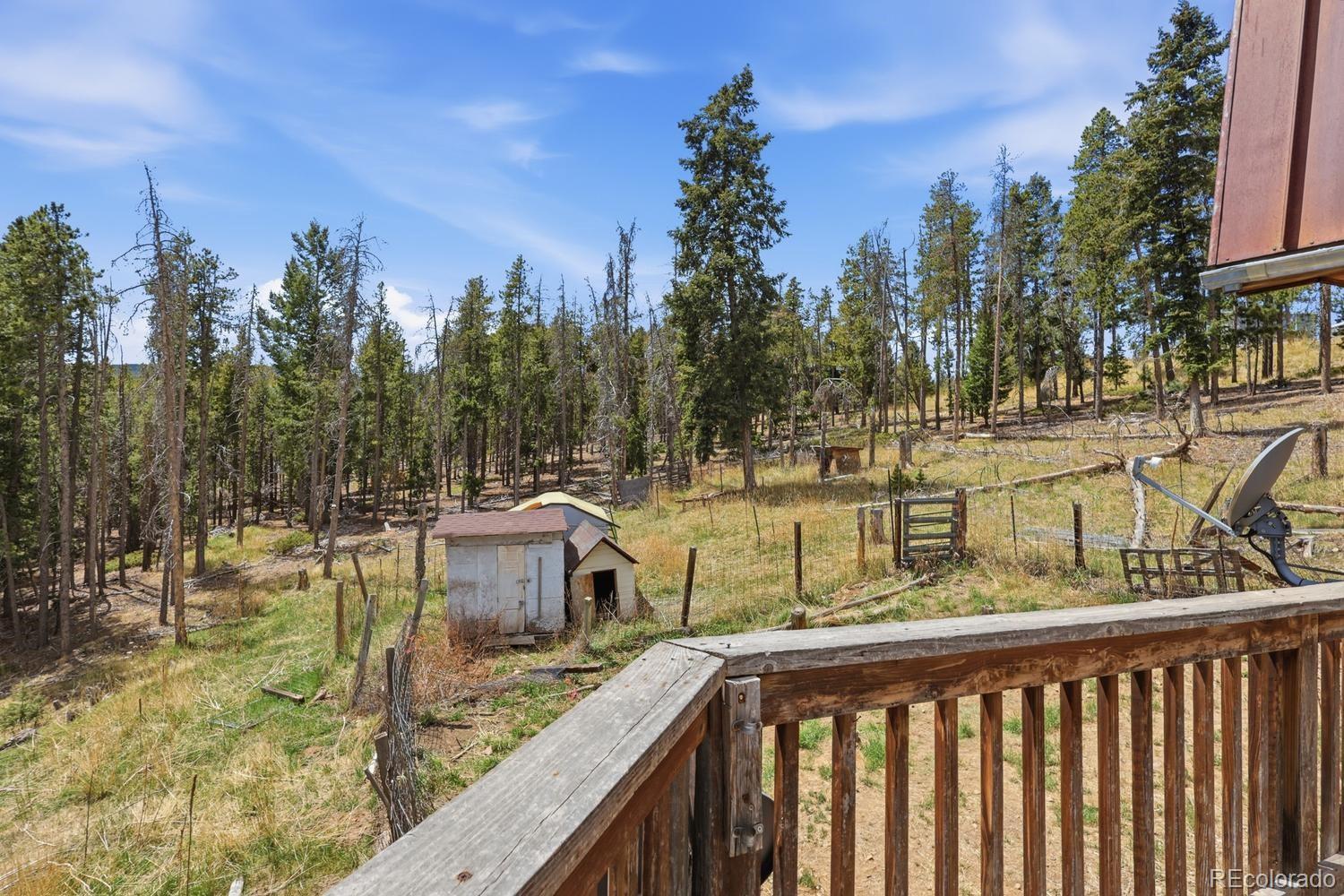MLS Image #29 for 8367 s warhawk way,conifer, Colorado