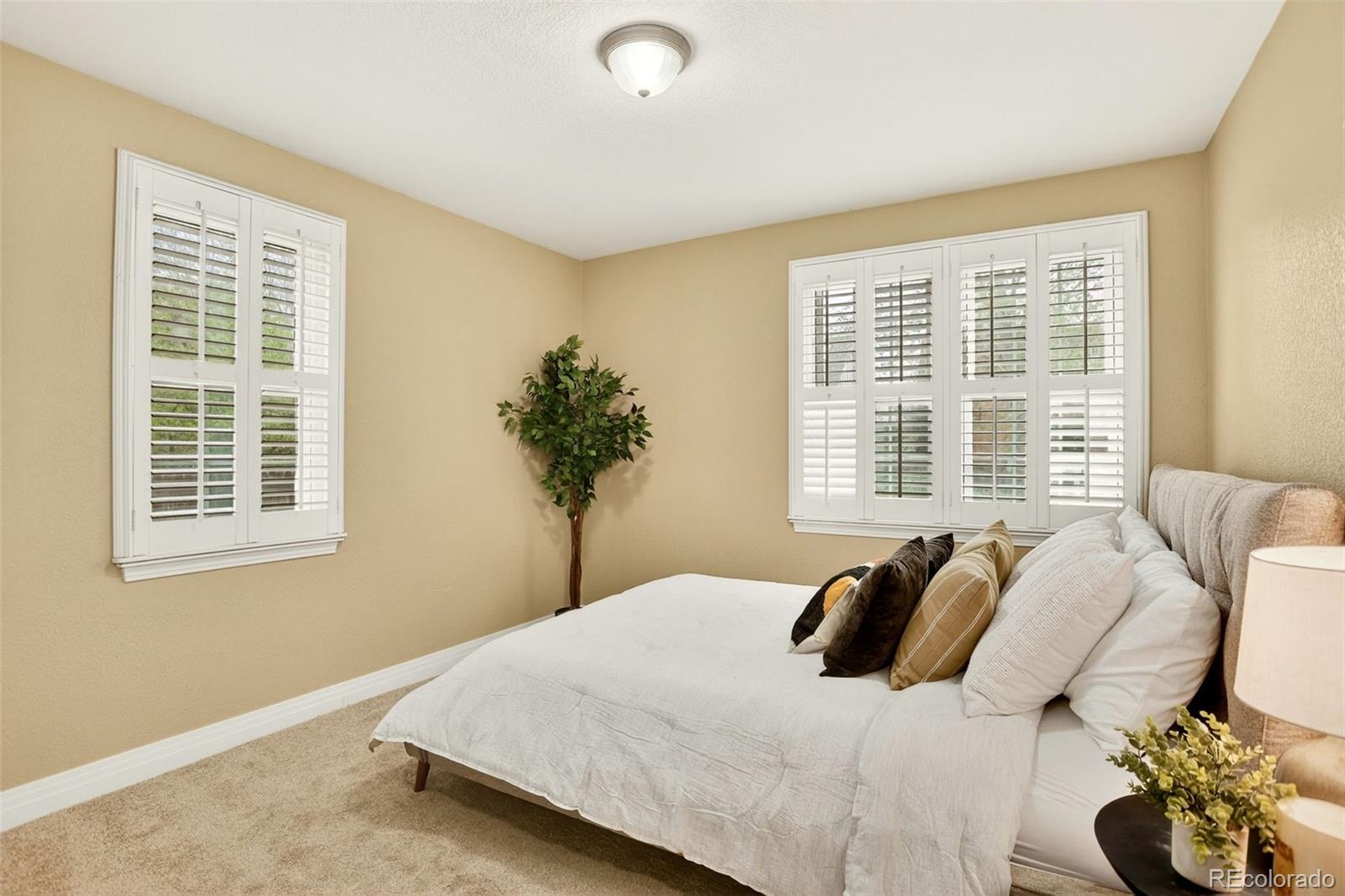 MLS Image #12 for 2955  ash street,denver, Colorado