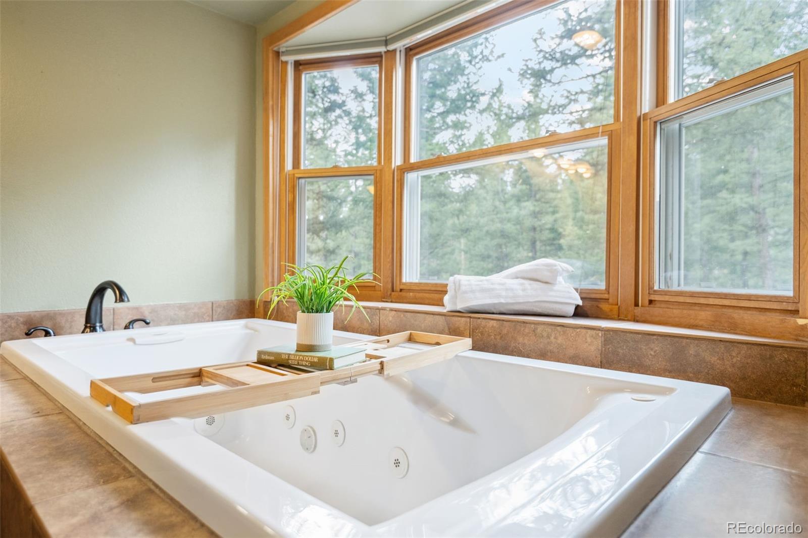 MLS Image #19 for 8240  tim tam trail,evergreen, Colorado