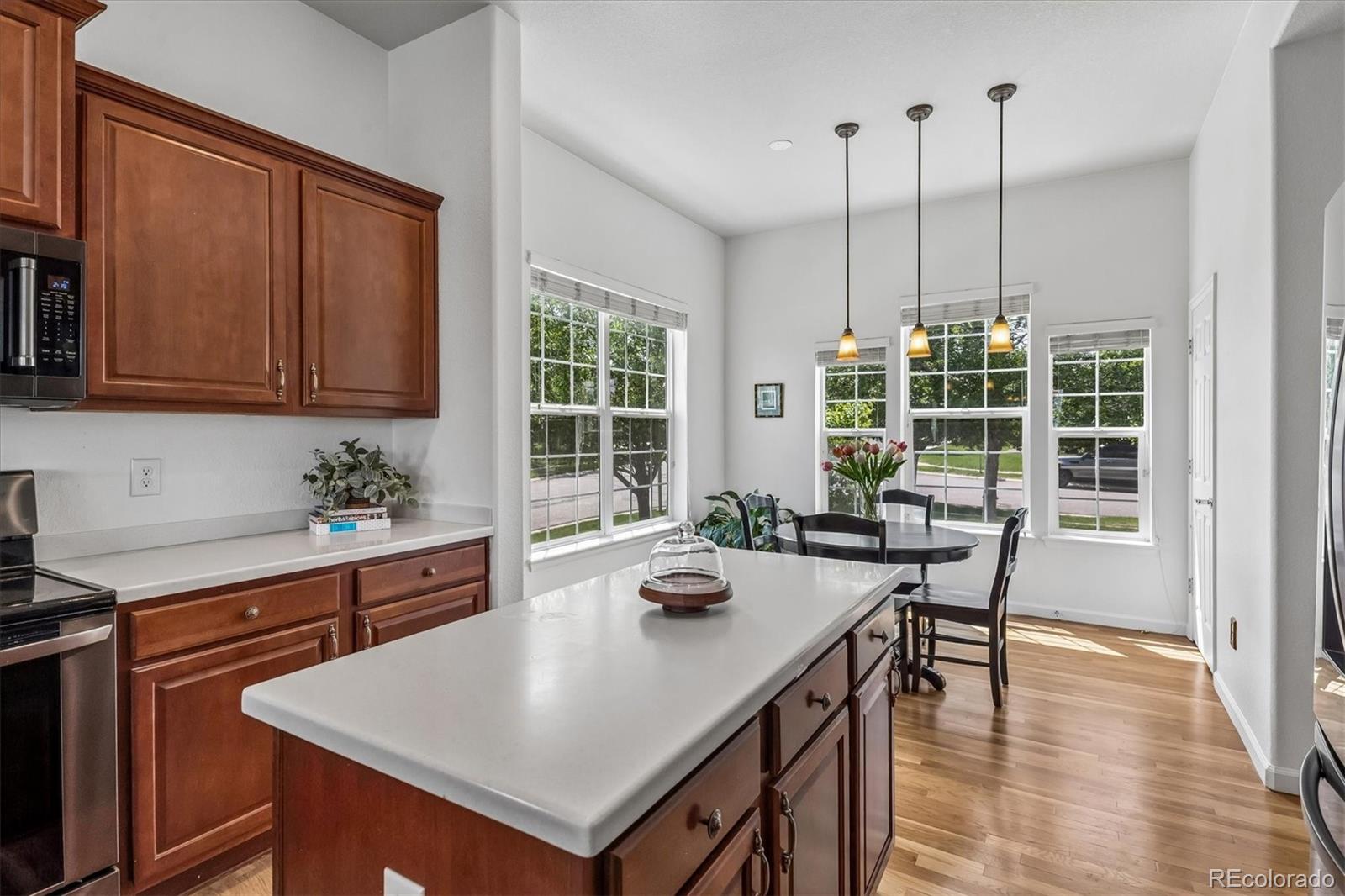 MLS Image #13 for 16504  elbert court,broomfield, Colorado