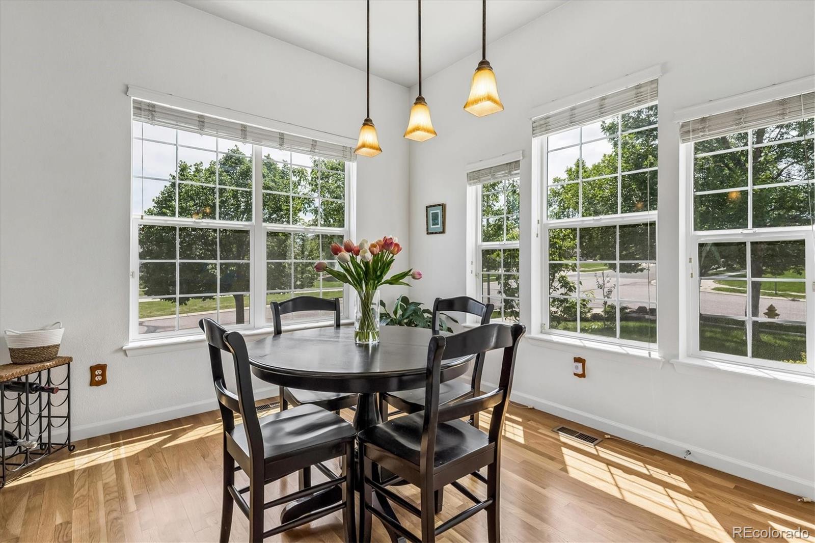MLS Image #17 for 16504  elbert court,broomfield, Colorado