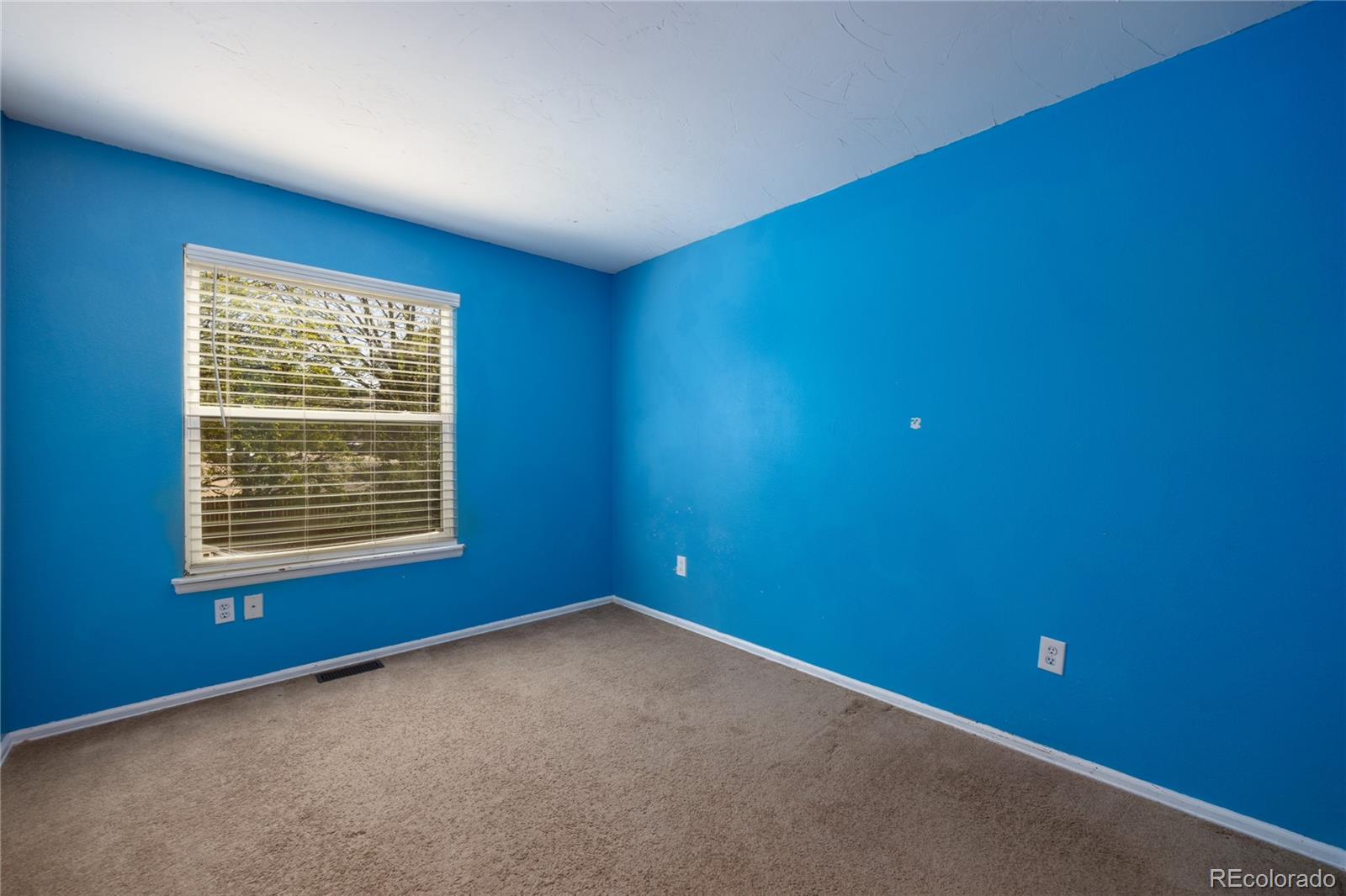 MLS Image #13 for 7110 s clay street,littleton, Colorado