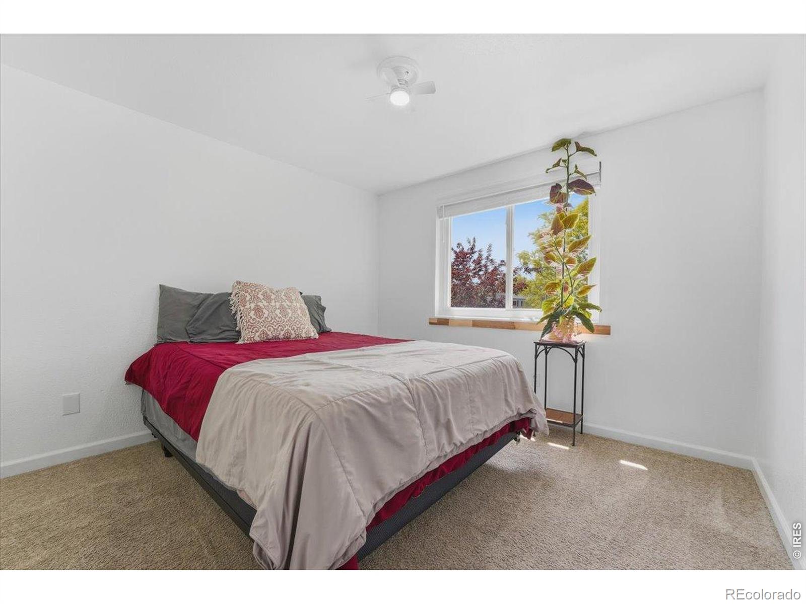 MLS Image #14 for 981  nantucket street,windsor, Colorado