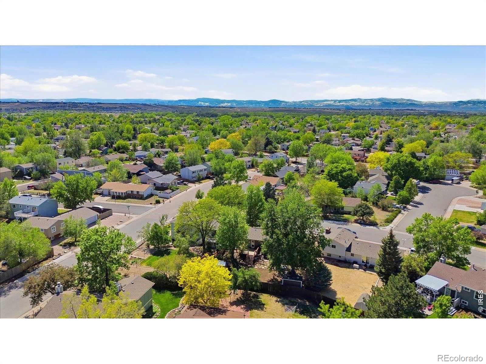 MLS Image #35 for 981  nantucket street,windsor, Colorado