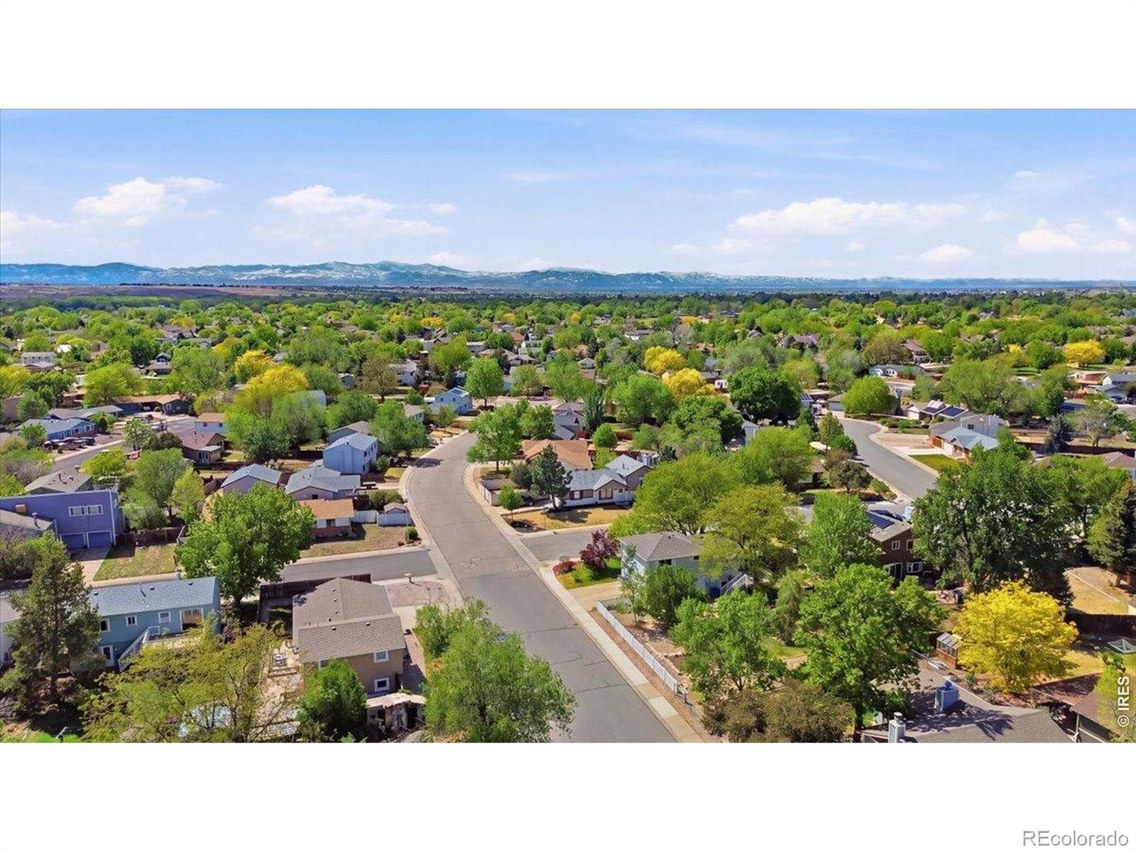 MLS Image #36 for 981  nantucket street,windsor, Colorado