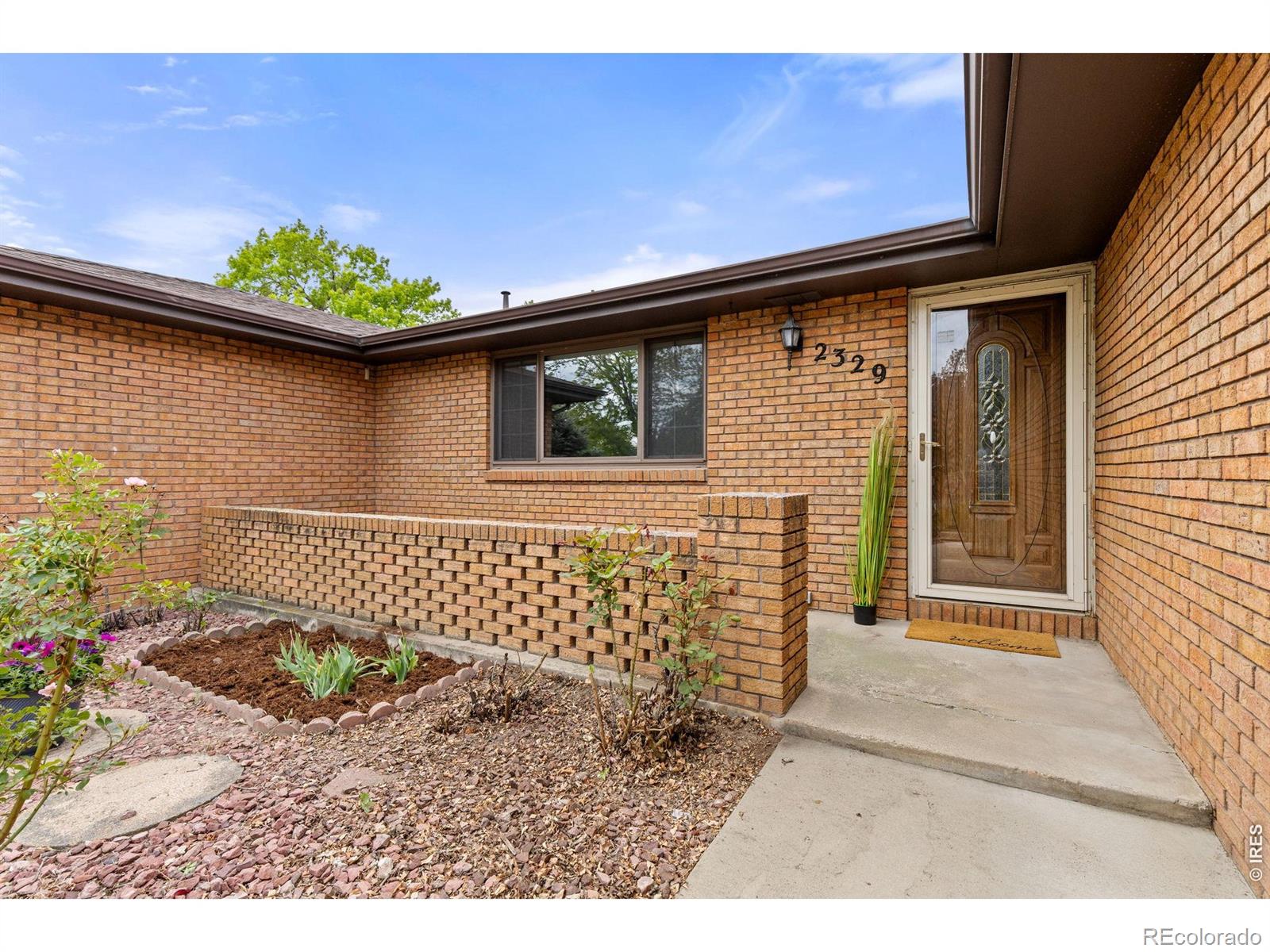 MLS Image #1 for 2329  corey street,longmont, Colorado