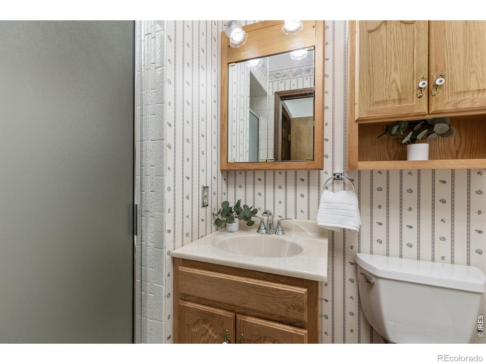 MLS Image #10 for 2329  corey street,longmont, Colorado