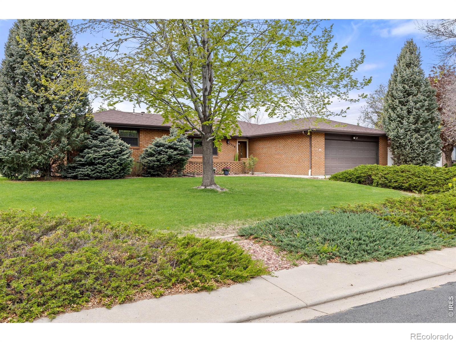 MLS Image #2 for 2329  corey street,longmont, Colorado