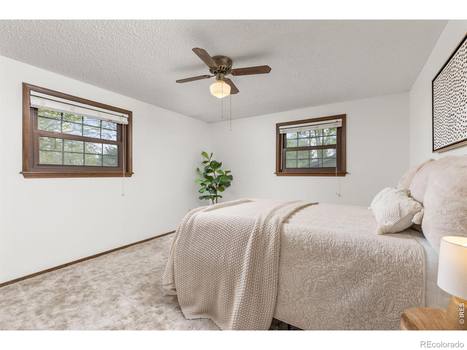 MLS Image #8 for 2329  corey street,longmont, Colorado