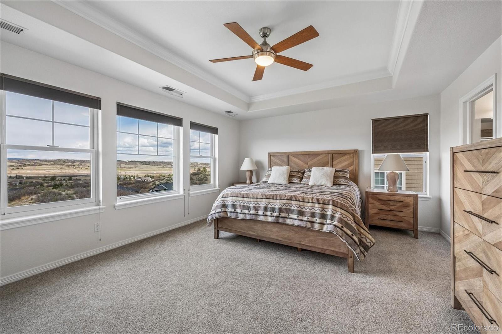 MLS Image #21 for 3707  eveningglow way,castle rock, Colorado