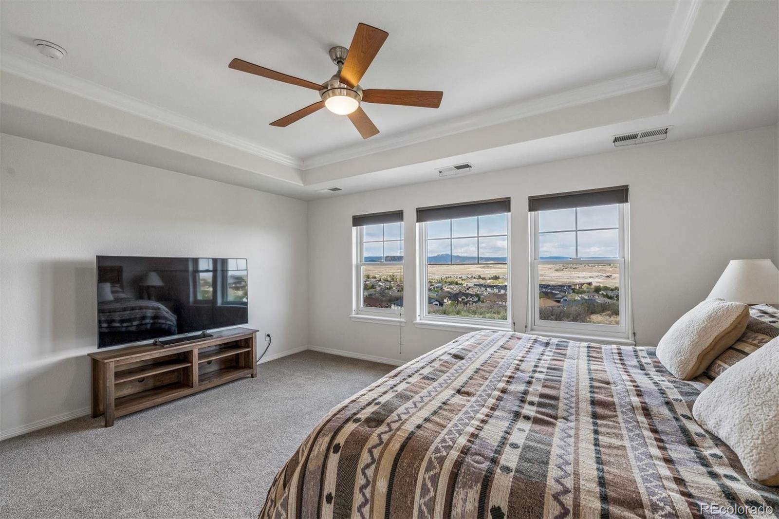 MLS Image #22 for 3707  eveningglow way,castle rock, Colorado