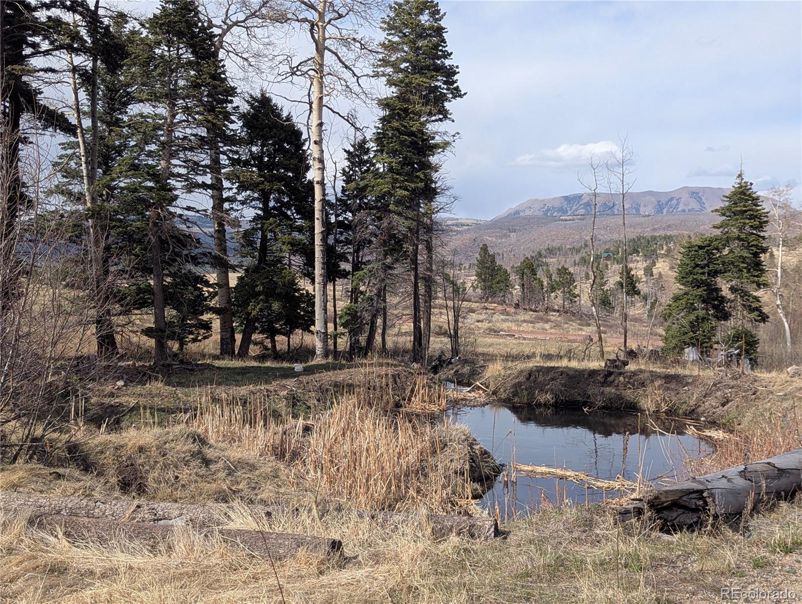 MLS Image #1 for 776  forbes park road,fort garland, Colorado