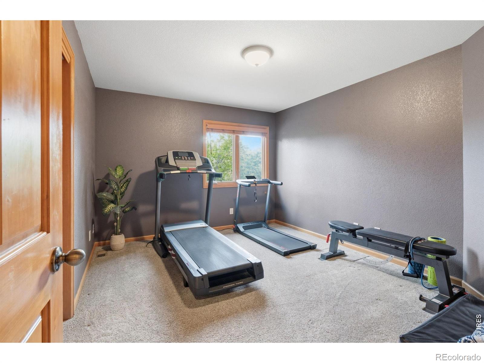 MLS Image #25 for 3327  long creek drive,fort collins, Colorado