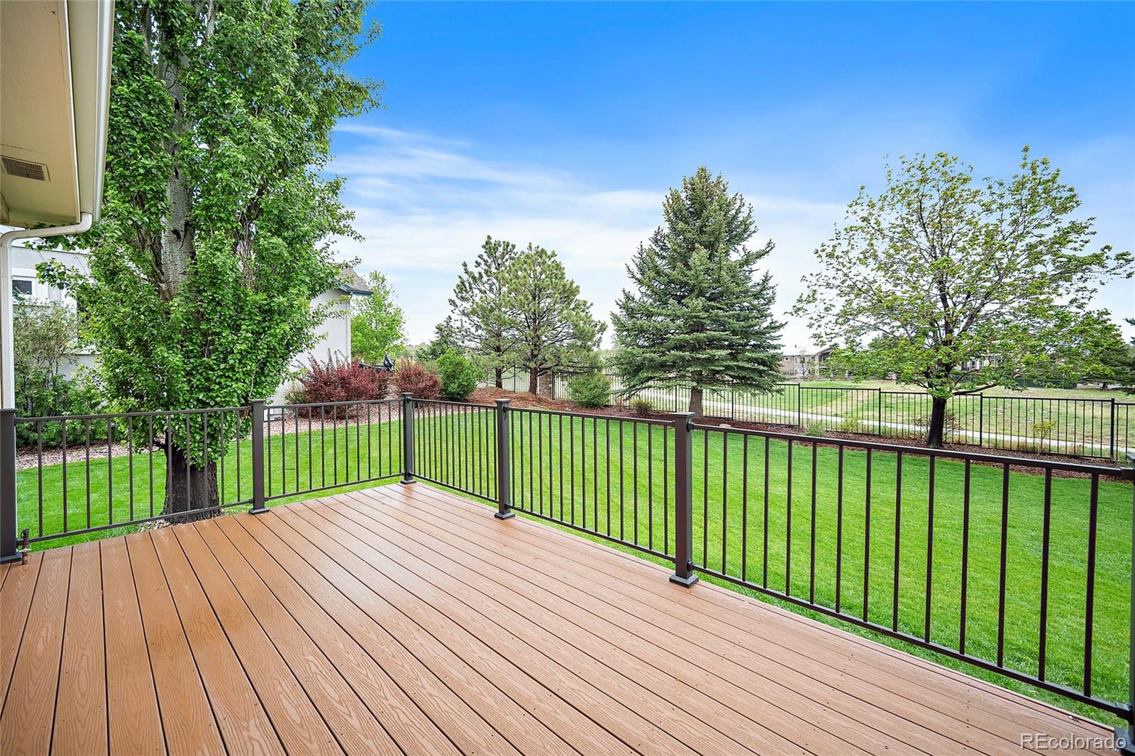 MLS Image #39 for 3135  deergrass place,colorado springs, Colorado
