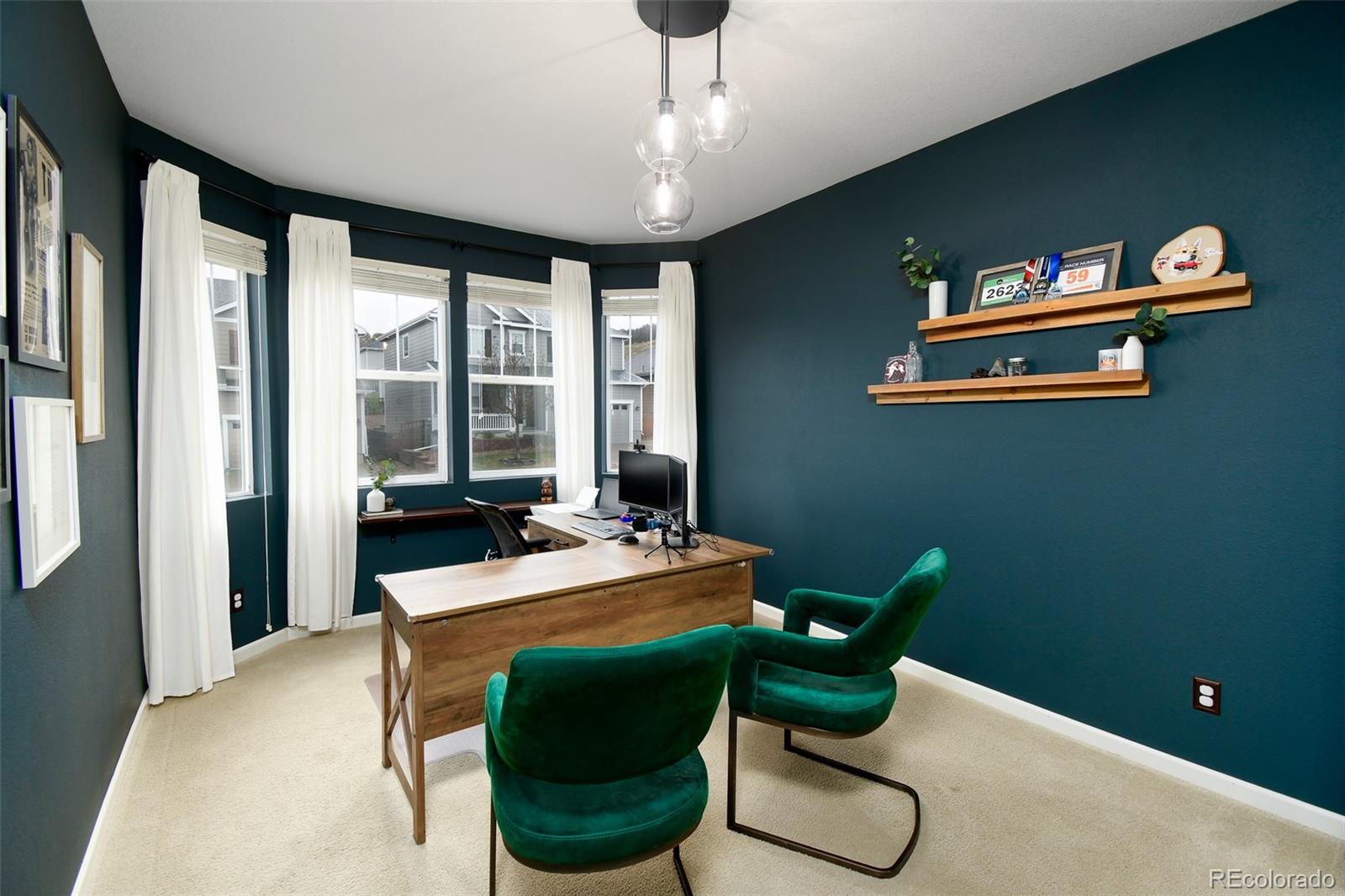 MLS Image #11 for 4000  starry night loop,castle rock, Colorado