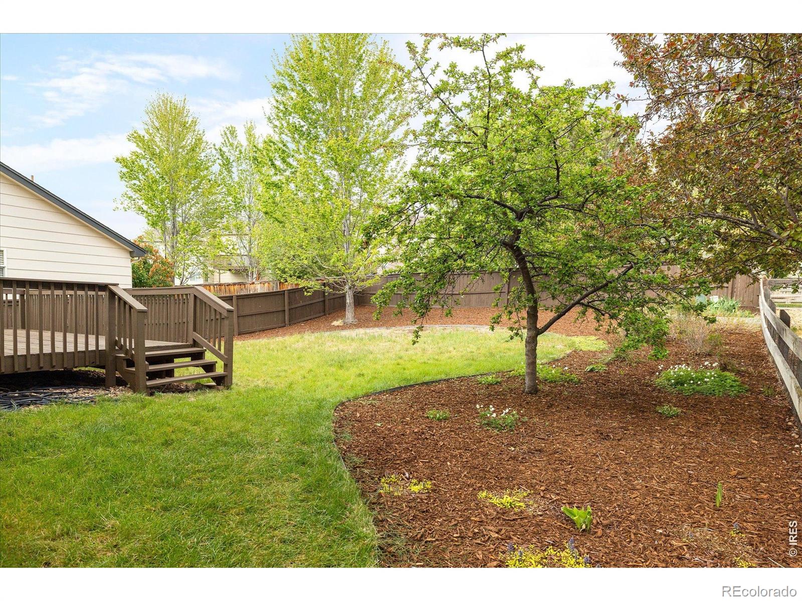 MLS Image #26 for 674  poppy place,highlands ranch, Colorado