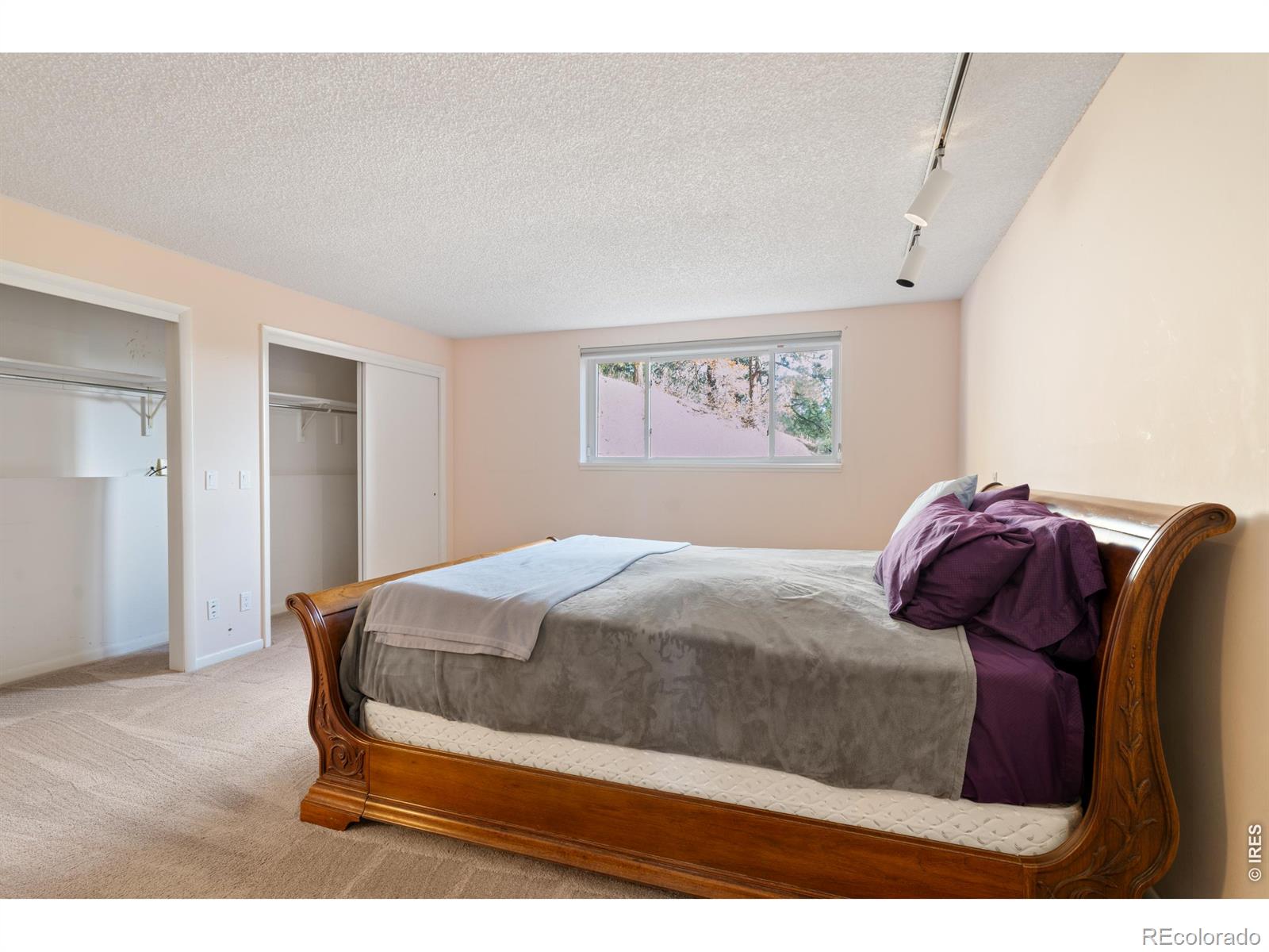 MLS Image #18 for 10691  tomichi drive,franktown, Colorado