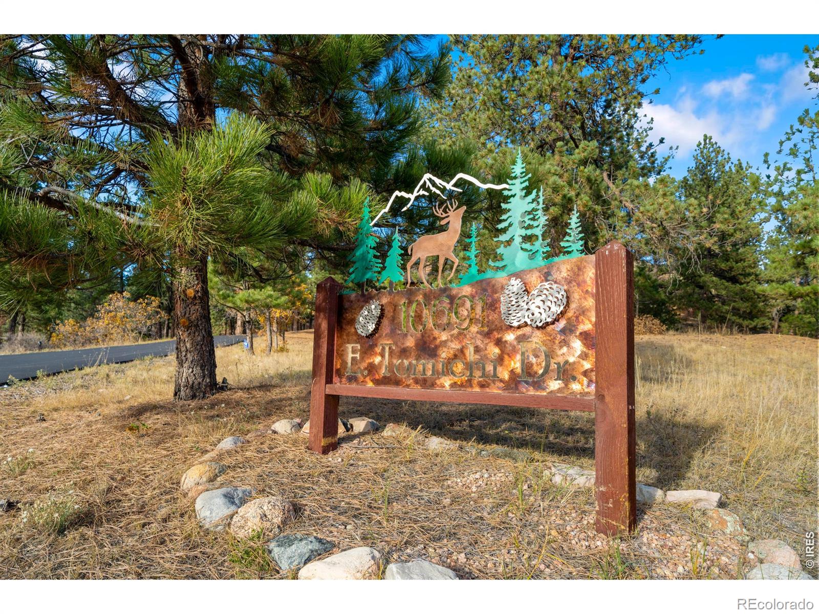 MLS Image #2 for 10691  tomichi drive,franktown, Colorado