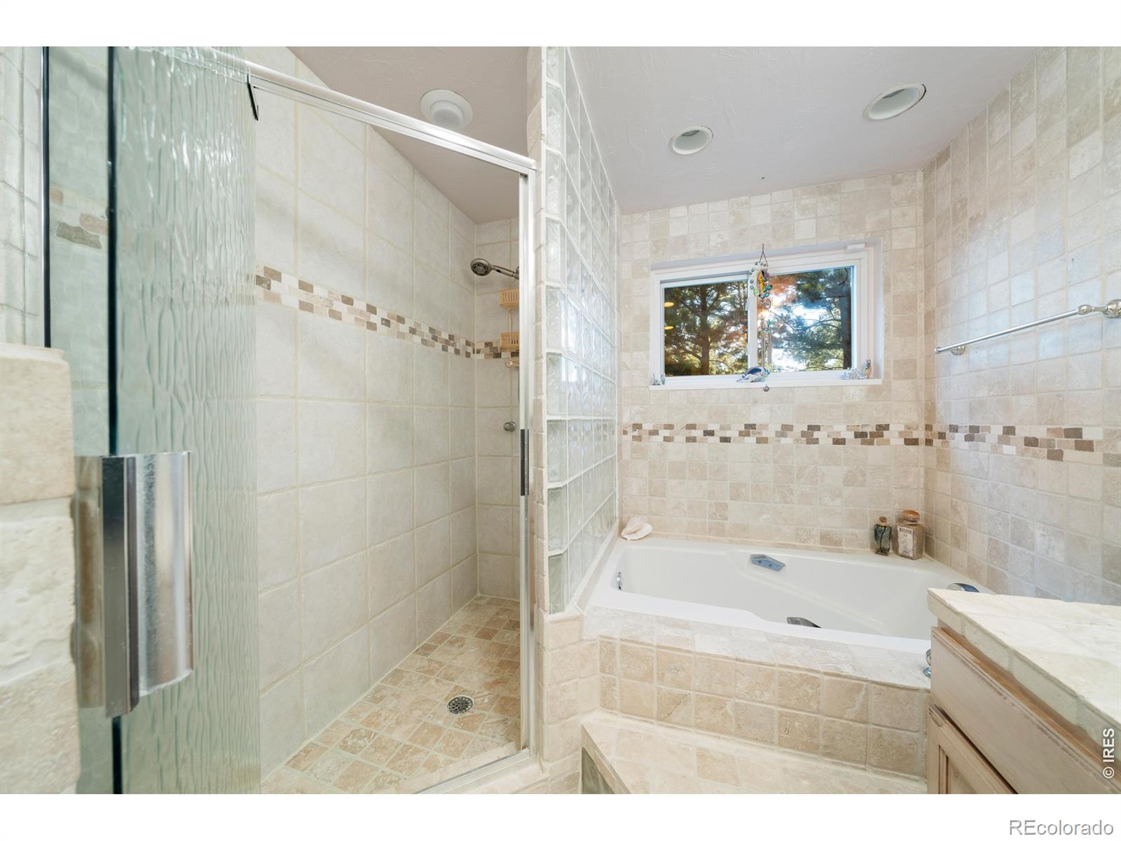 MLS Image #21 for 10691  tomichi drive,franktown, Colorado