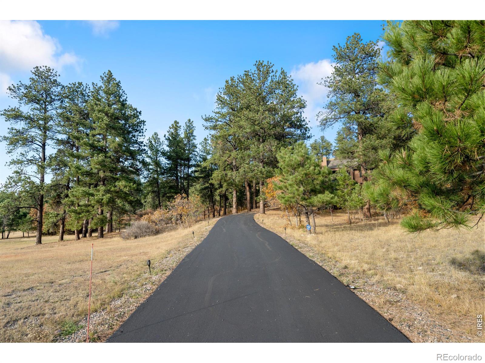 MLS Image #3 for 10691  tomichi drive,franktown, Colorado