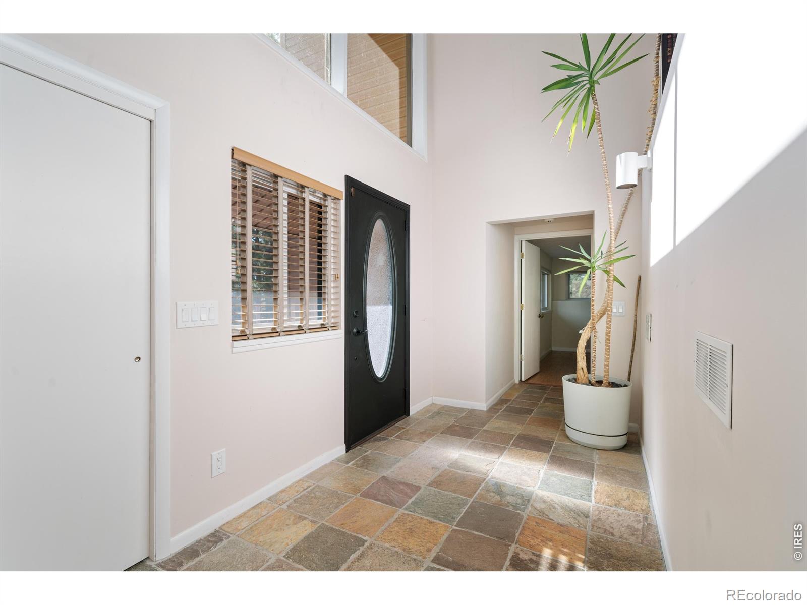 MLS Image #4 for 10691  tomichi drive,franktown, Colorado