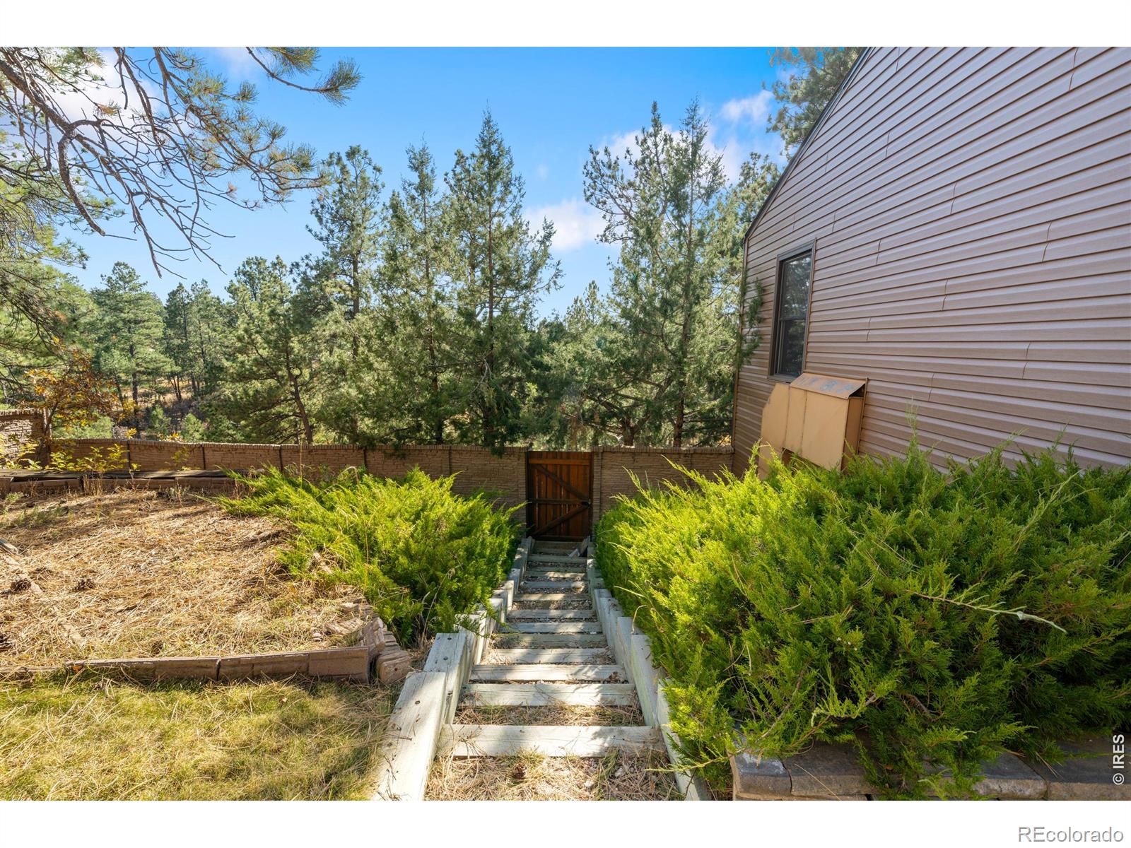 MLS Image #42 for 10691  tomichi drive,franktown, Colorado
