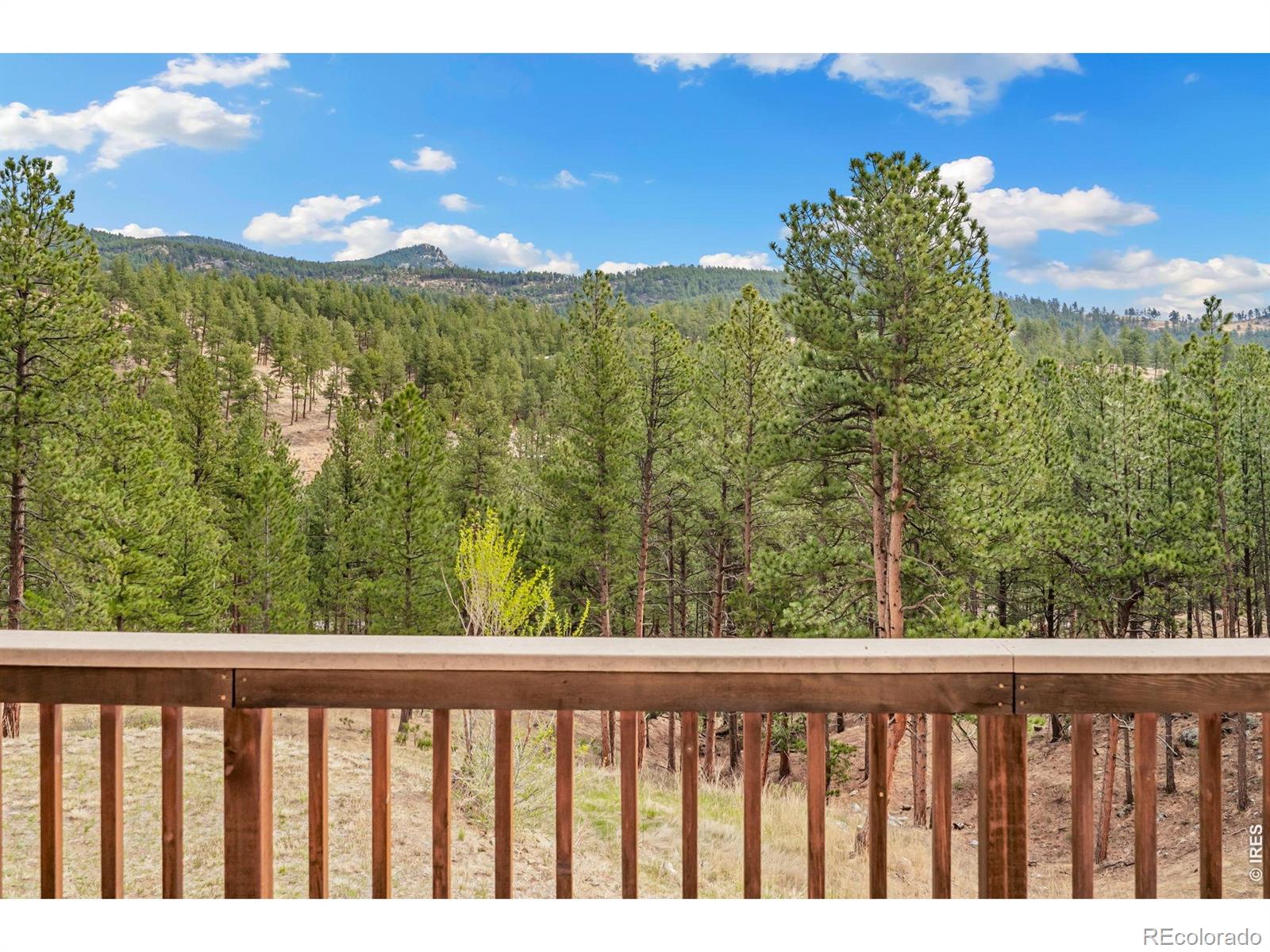 MLS Image #29 for 96  lone wolf road,loveland, Colorado