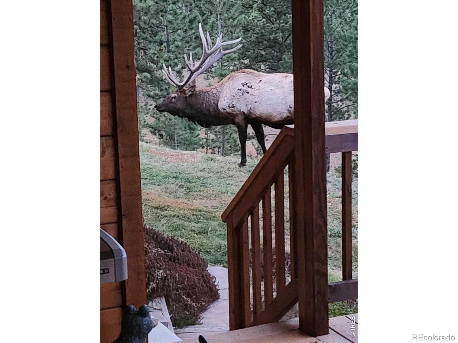 MLS Image #6 for 96  lone wolf road,loveland, Colorado