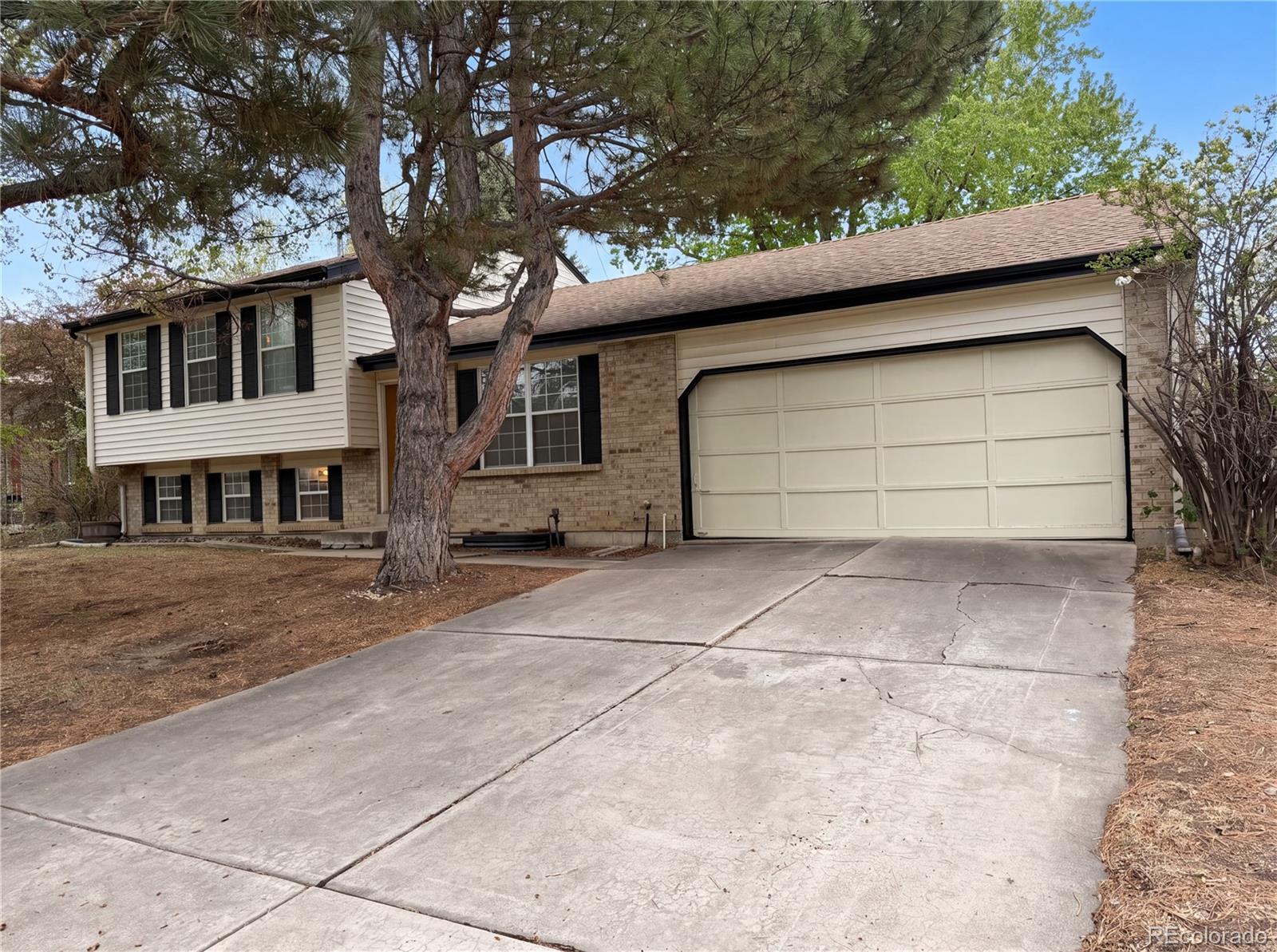 MLS Image #28 for 2114 s eagle court,aurora, Colorado
