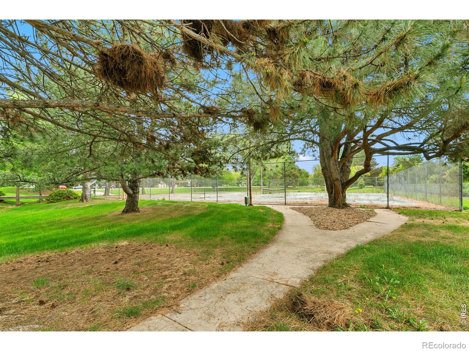 MLS Image #28 for 925  columbia road,fort collins, Colorado