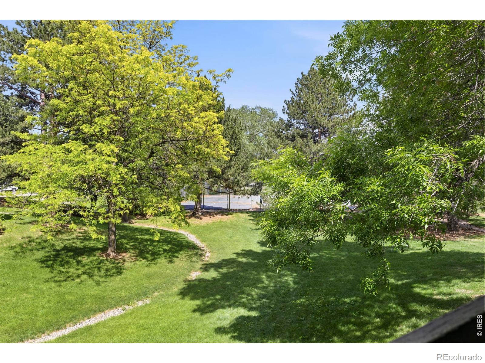 MLS Image #29 for 925  columbia road,fort collins, Colorado