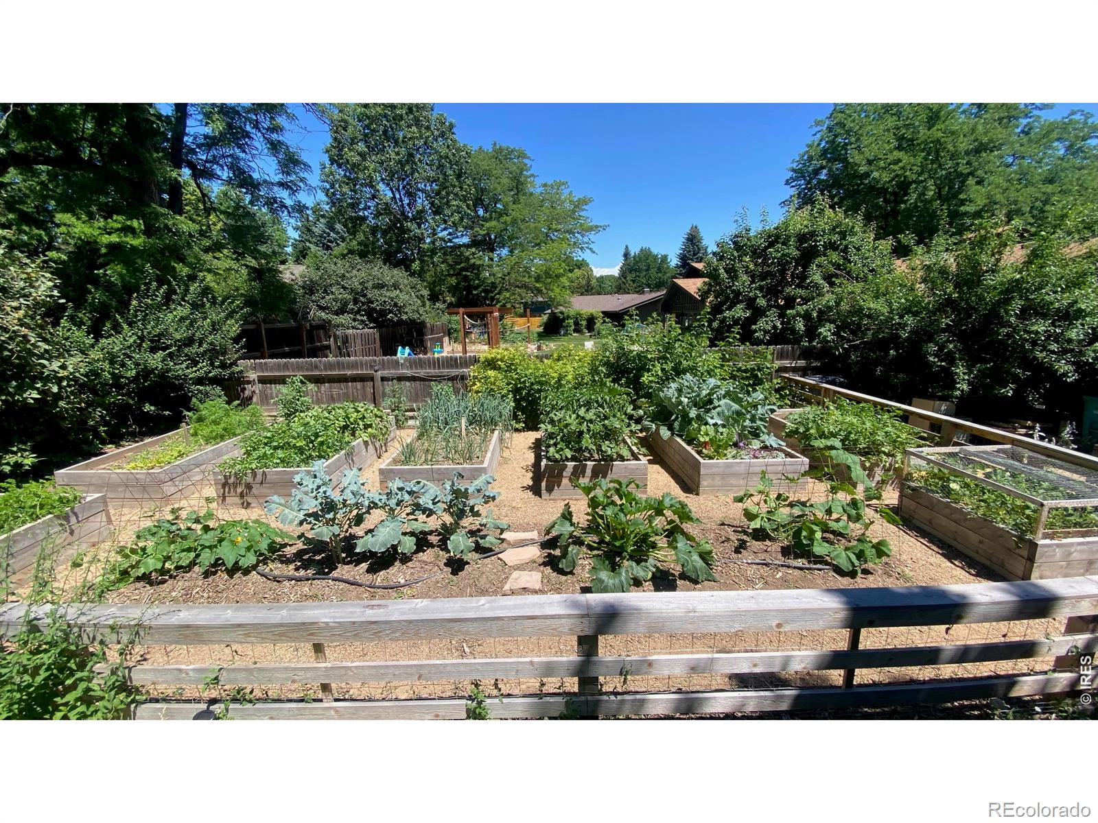 MLS Image #36 for 1913  seminole drive,fort collins, Colorado