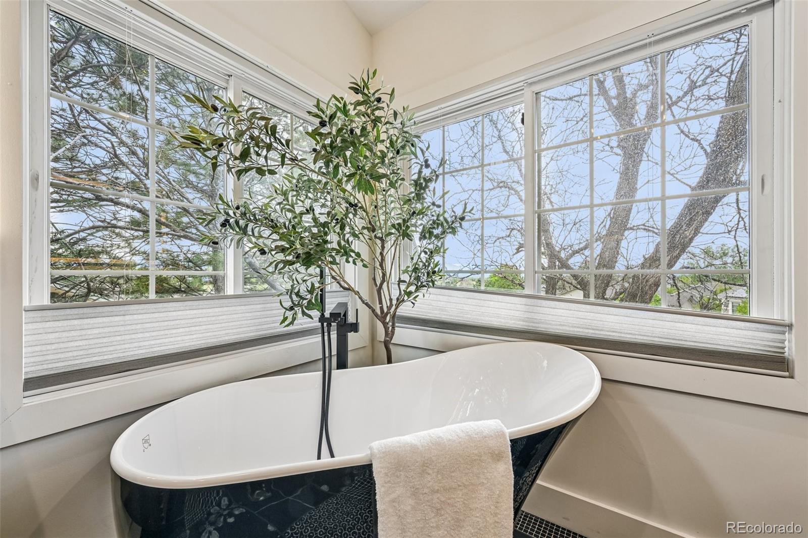 MLS Image #25 for 9315  sulton court,highlands ranch, Colorado
