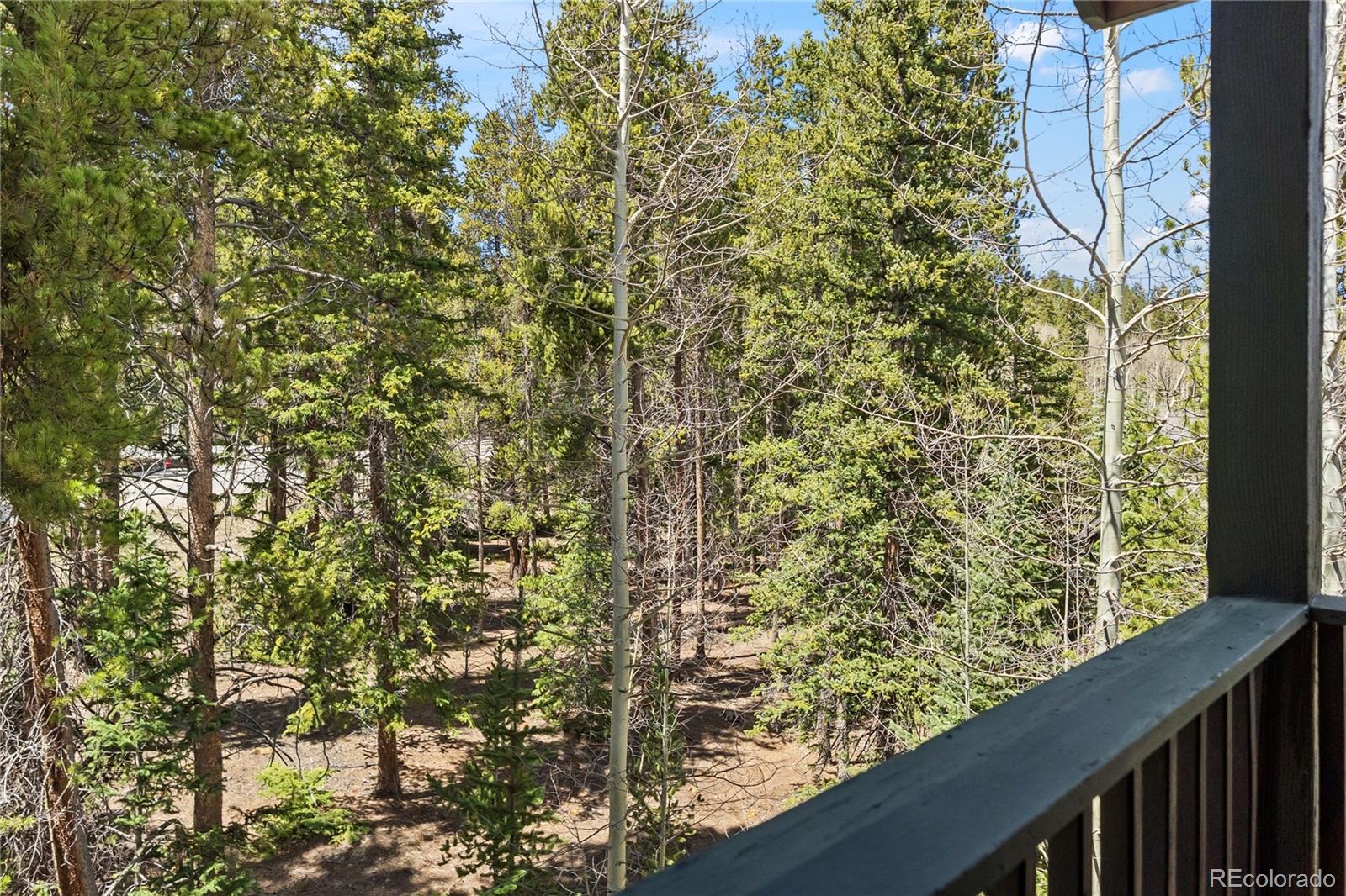 MLS Image #33 for 260  ski hill road a4,breckenridge, Colorado