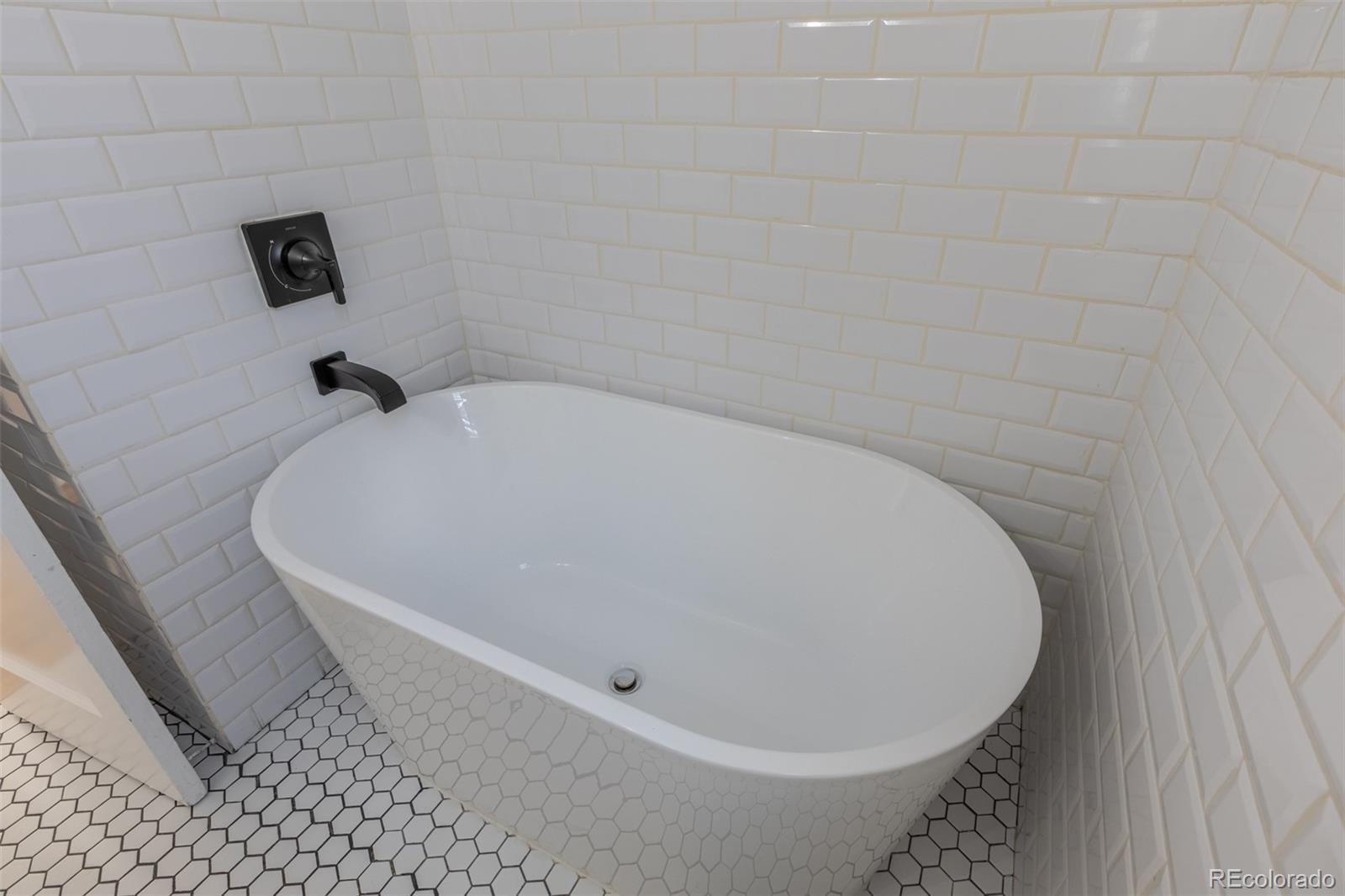 MLS Image #10 for 1734 s franklin street,denver, Colorado