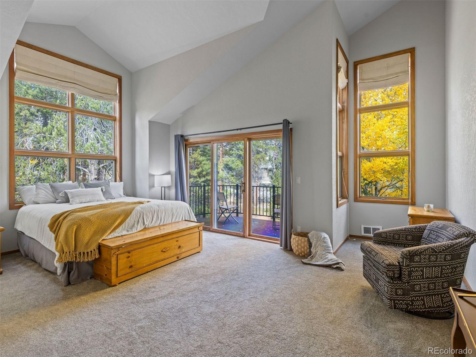 MLS Image #22 for 1107  penstemon road,dillon, Colorado