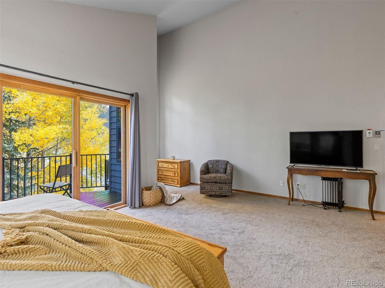 MLS Image #23 for 1107  penstemon road,dillon, Colorado
