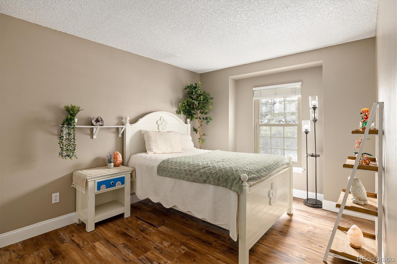 MLS Image #12 for 16641  blue mist circle,parker, Colorado