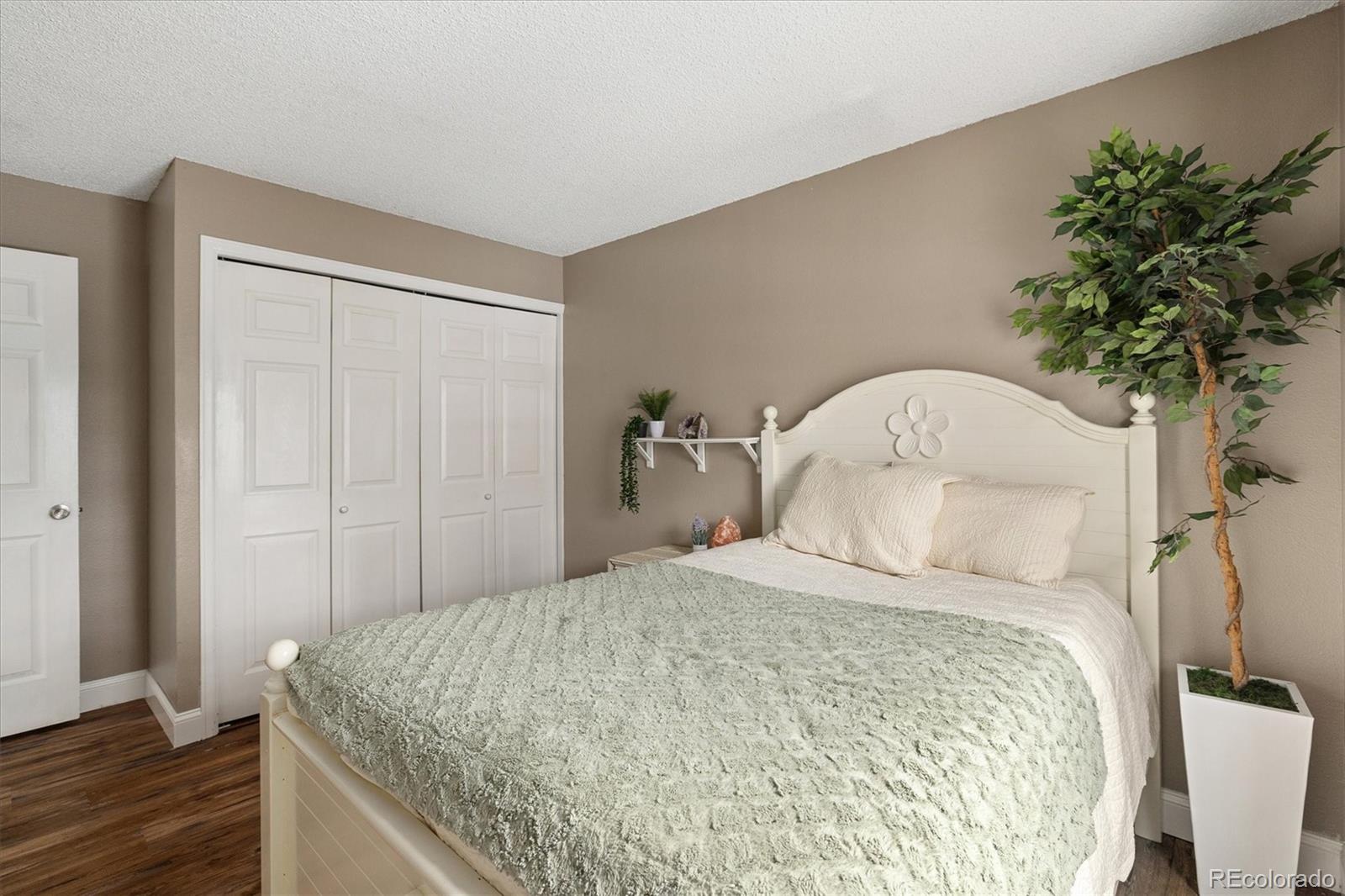 MLS Image #13 for 16641  blue mist circle,parker, Colorado