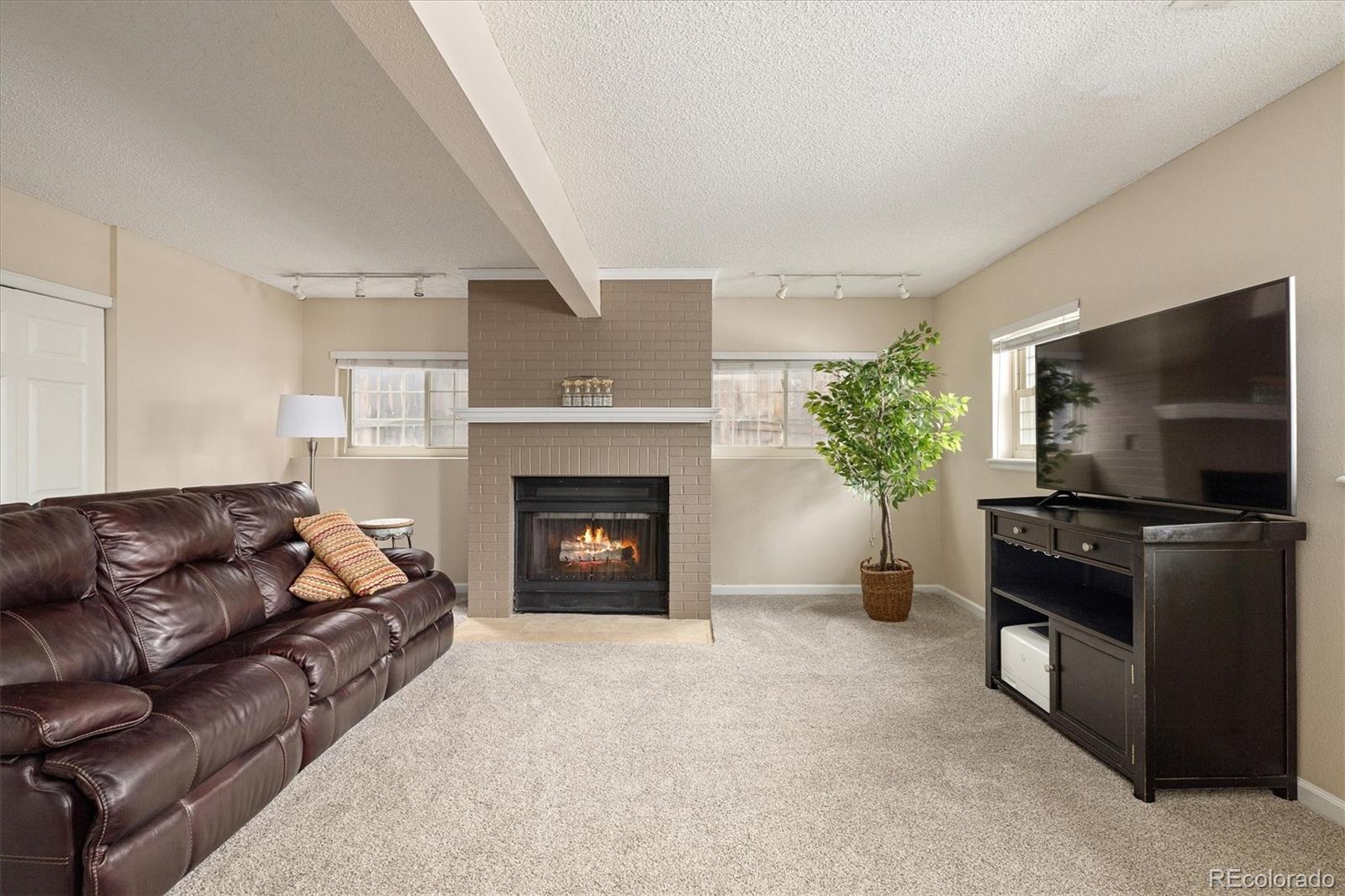 MLS Image #16 for 16641  blue mist circle,parker, Colorado