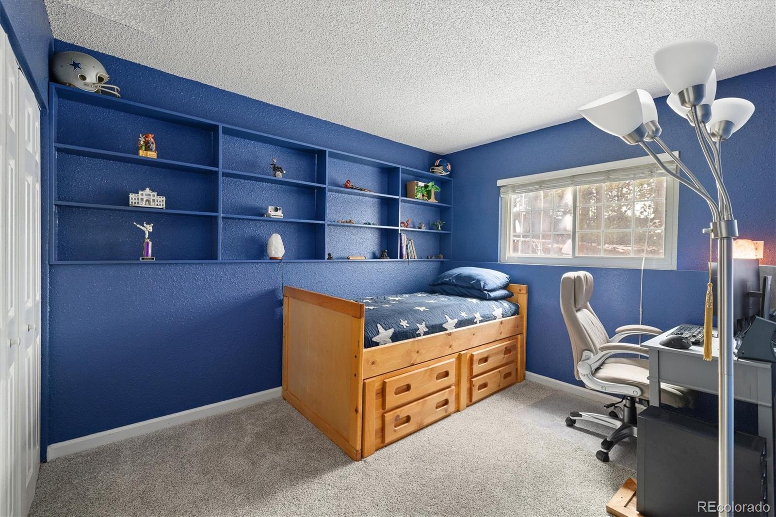 MLS Image #18 for 16641  blue mist circle,parker, Colorado