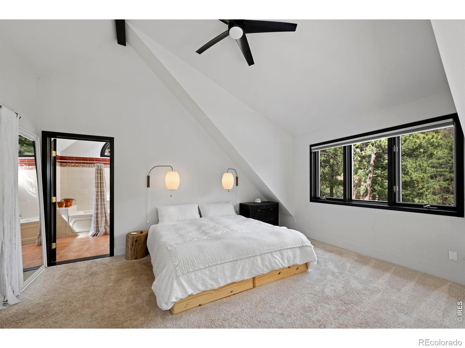 MLS Image #13 for 7632  lefthand canyon drive,jamestown, Colorado