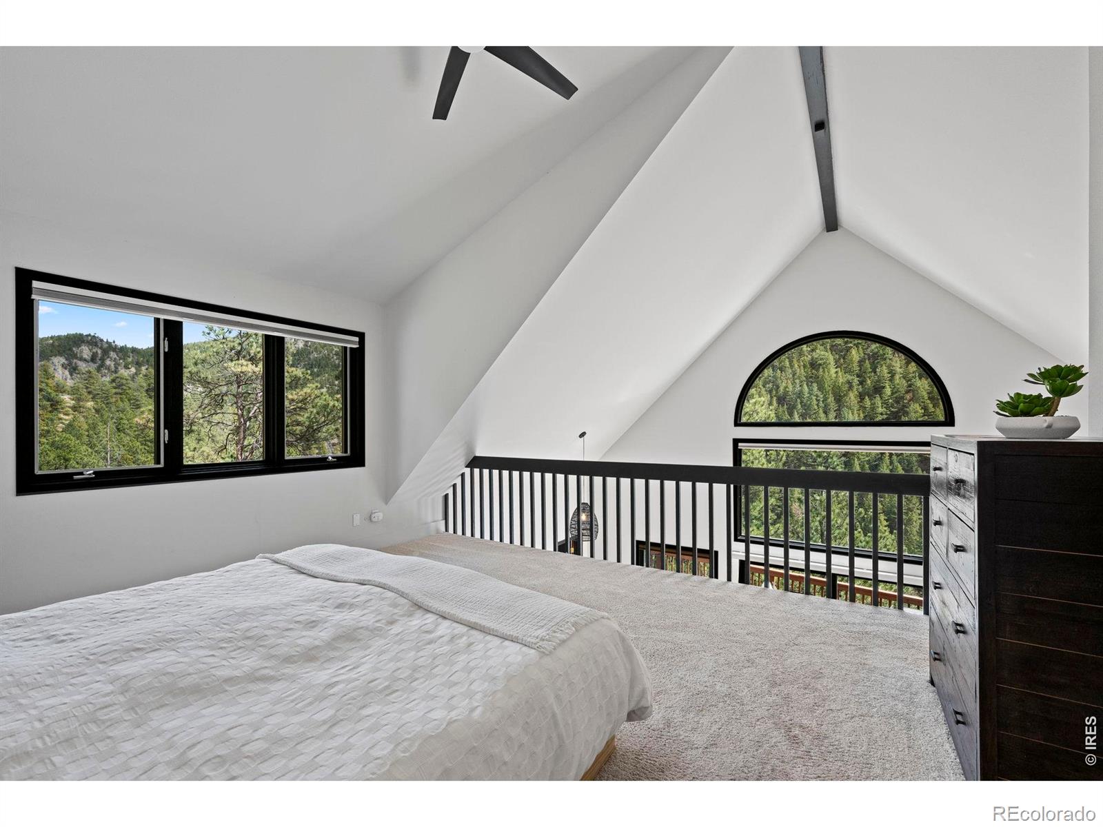 MLS Image #14 for 7632  lefthand canyon drive,jamestown, Colorado