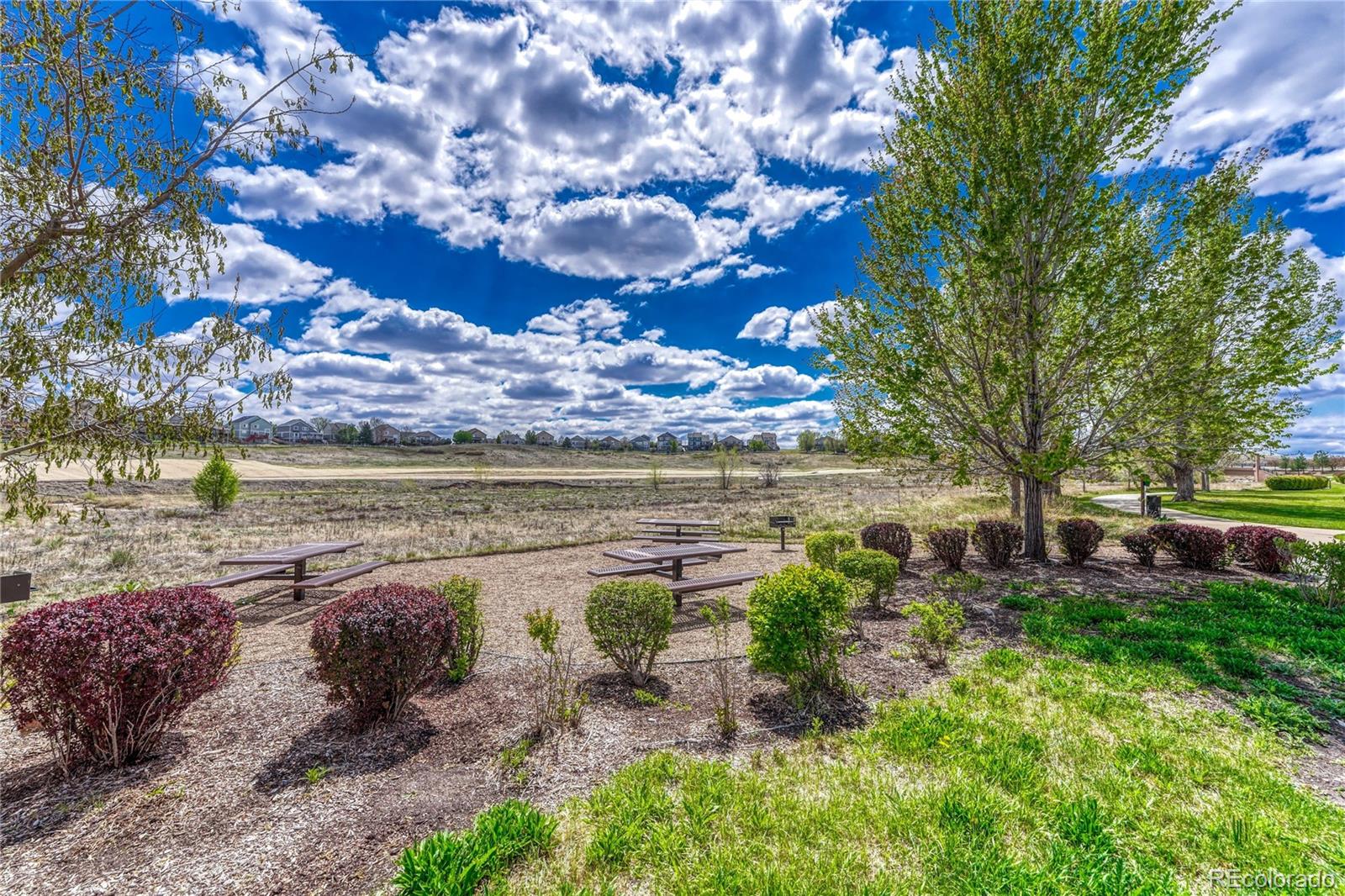 MLS Image #43 for 8460  canyon rim trail 4,englewood, Colorado